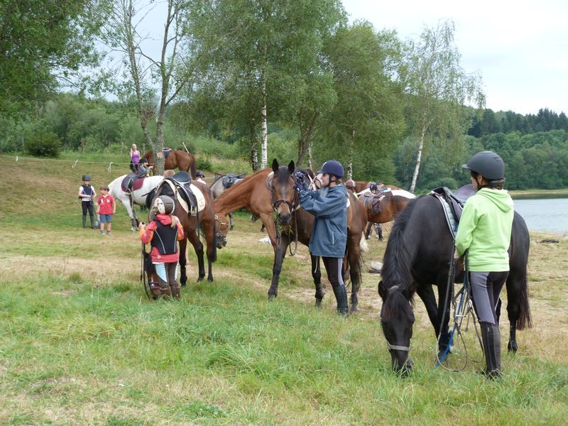Equitation saulieu 1