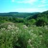 Colline de Chissez en Morvan