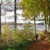 Lac des Settons en automne
