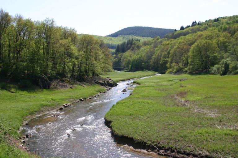 Le Morvan sauvage