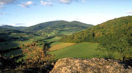 Paysage du Morvan