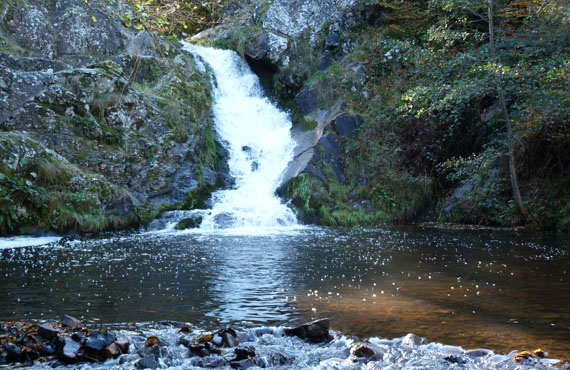 Saut de gouloux